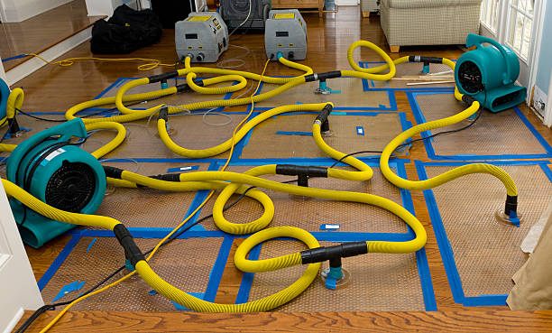 Professional Water Damage Restoration technician working in Forestdale, MA